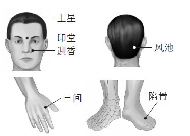 鼻塞、打鼾等鼻子問題的防治